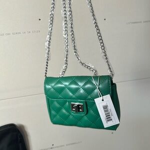 Mini green bag with silver hardware